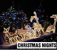 Christmas Nights